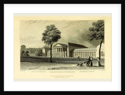 Conservatory at Wiesbaden, Germany, Tombleson's Views of the Rhine. by Anonymous