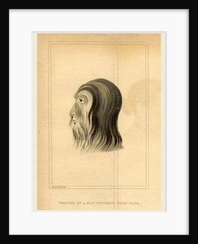 Journal of an Embassy from the Governor General of India to the Court of Ava by Anonymous