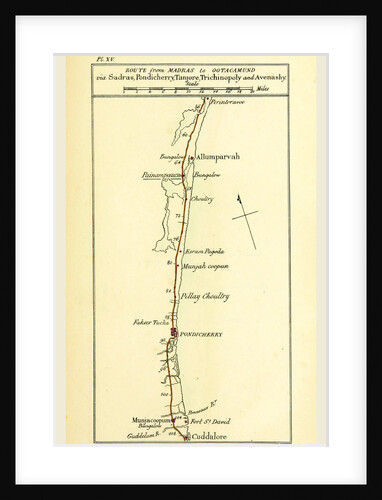 Observations on the Neilgherries, map of the route from Madras to Ootagamund by Anonymous