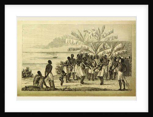Narrative of a Voyage of Observation among the Colonies of Western Africa and of a campaign in Kaffir-Land in 1835 by Major C. C. Michell