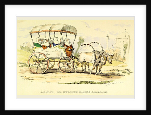 Arabat or Turkish Ladies Carriage, Damascus and Palmyra, a journey to the East by Anonymous