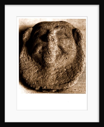 Campania Caserta Capua Museo Campano by Anonymous