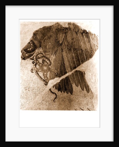 Campania Caserta Capua Museo Campano by Anonymous