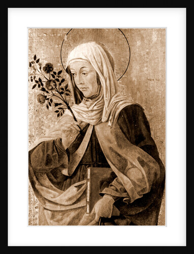 Campania Caserta Capua Museo Campano by Anonymous