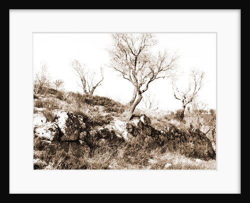 General views, Alba Fucens, Abruzzo by Anonymous