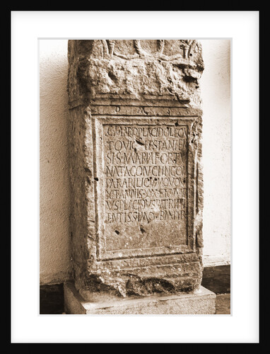 Museo Nazionale d'Abruzzo, L'Aquila, L'Aquila, Abruzzo by Anonymous
