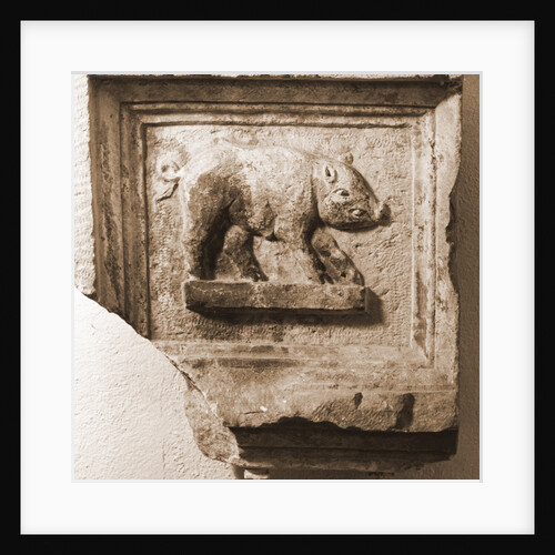 Museo Nazionale d'Abruzzo, L'Aquila, L'Aquila, Abruzzo by Anonymous