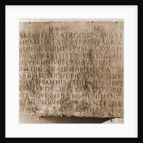 Museo Nazionale d'Abruzzo, L'Aquila, L'Aquila, Abruzzo by Anonymous