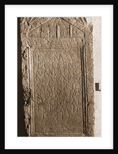 Museo Nazionale d'Abruzzo, L'Aquila, L'Aquila, Abruzzo by Anonymous