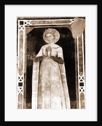 S. Maria di Collemaggio, L'Aquila, Abruzzo by Anonymous