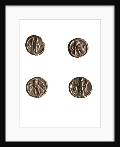Museo, S. Giuliano, L'Aquila, Abruzzo by Anonymous