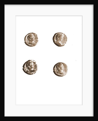 Museo, S. Giuliano, L'Aquila, Abruzzo by Anonymous