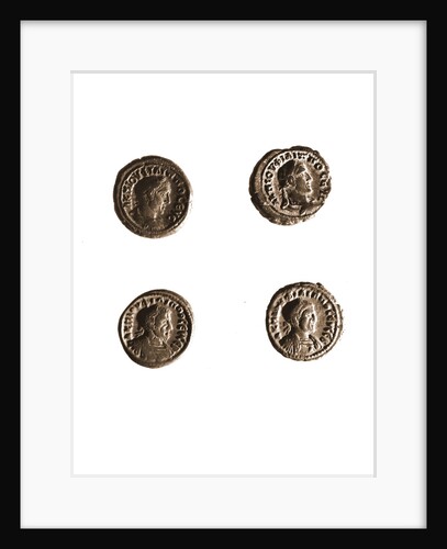 Museo, S. Giuliano, L'Aquila, Abruzzo by Anonymous