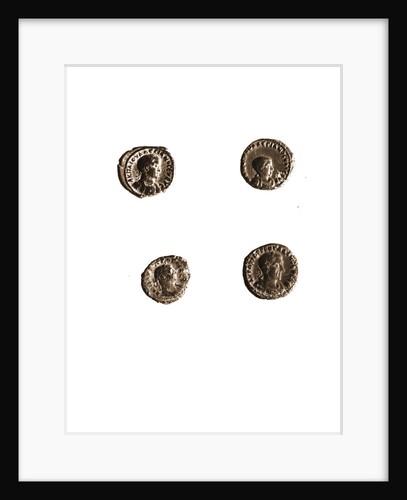 Museo, S. Giuliano, L'Aquila, Abruzzo by Anonymous