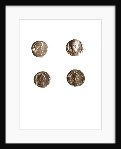 Museo, S. Giuliano, L'Aquila, Abruzzo by Anonymous