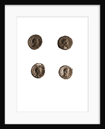 Museo, S. Giuliano, L'Aquila, Abruzzo by Anonymous