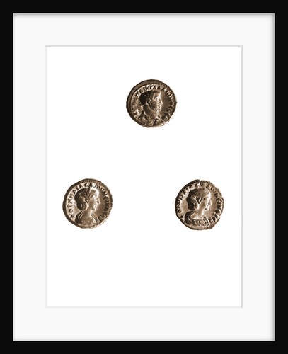 Museo, S. Giuliano, L'Aquila, Abruzzo by Anonymous