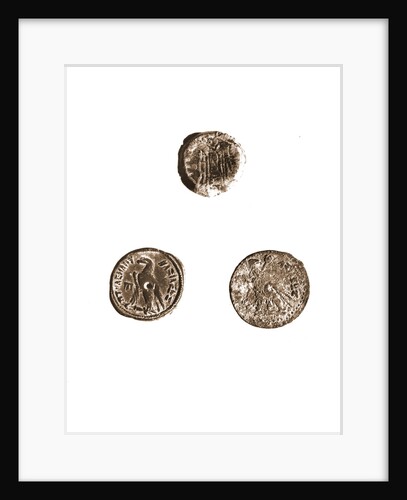 Museo, S. Giuliano, L'Aquila, Abruzzo by Anonymous