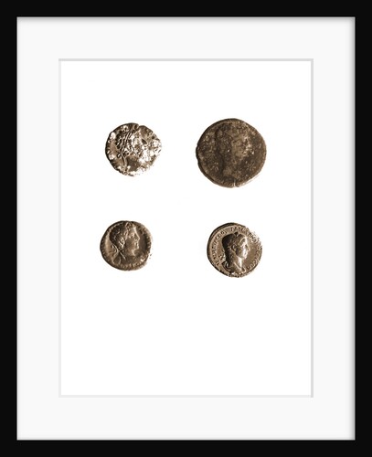 Museo, S. Giuliano, L'Aquila, Abruzzo by Anonymous