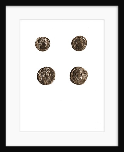 Museo, S. Giuliano, L'Aquila, Abruzzo by Anonymous