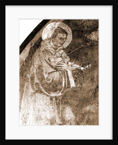 Museo Civico, Sulmona, L'Aquila, Abruzzo by Anonymous