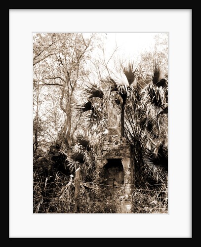 Chimneys, Ormond hammock, The, Jackson, Chimneys, Ruins, United States, Florida, Ormond Beach, 1880 by William Henry