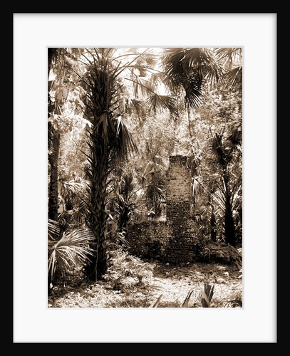 Chimneys, Ormond hammock, The, Jackson, Chimneys, Palms, Ruins, United States, Florida, Ormond Beach, 1880 by William Henry