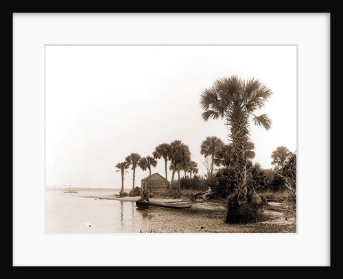 Ross Point on the Halifax, Fla, Jackson, Capes (Coasts), Rivers, United States, Florida, Halifax River, 1880 by William Henry