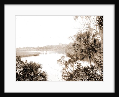 On the Tomoka, Jackson, Rivers, United States, Florida, Tomoka River, 1880 by William Henry