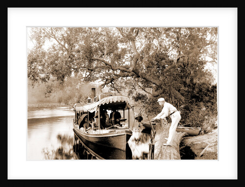 On the Tomoka, Jackson, Steamboats, Waterfronts, Rivers, United States, Florida, Tomoka River, 1880 by William Henry