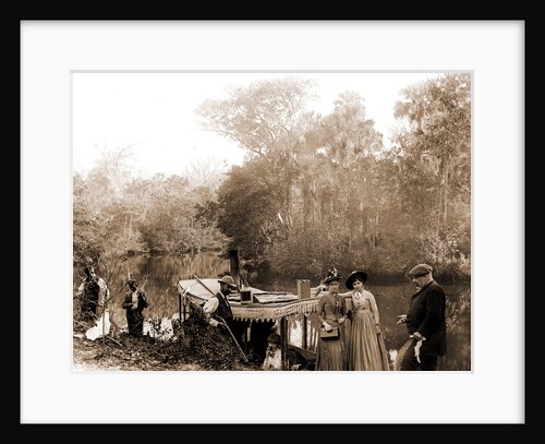On the Tomoka, Jackson, Tourist trade, Rivers, Alligator hunting, United States, Florida, Tomoka River, 1880 by William Henry