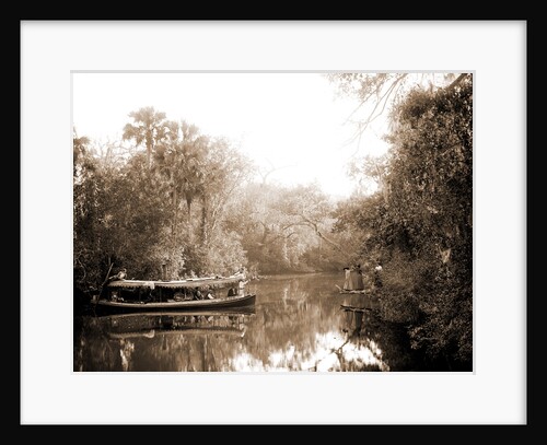Boating on the Tomoka, Jackson, Steamboats, Rivers, United States, Florida, Tomoka River, 1880 by William Henry