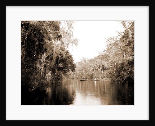 On the Tomoka, Florida, Jackson, Rivers, United States, Florida, Tomoka River, 1880 by William Henry