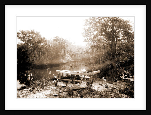 Picnic landing on the Tomoka, Jackson, Waterfronts, Rivers, Picnics, United States, Florida, Tomoka River, 1880 by William Henry