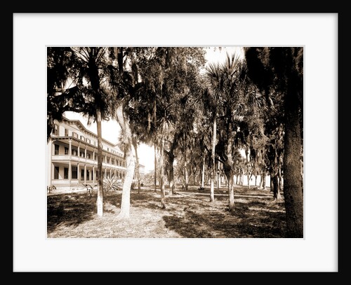 Hotel Rockledge, Indian River, Jackson, Hotel Rockledge (Fla.), Hotels, Palms, Bays, United States, Florida, Indian River, 1880 by William Henry