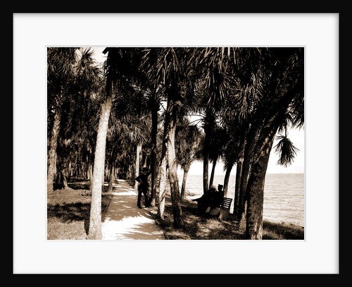 The walk at Rockledge, Indian River, Jackson, Hotels, Trails & paths, Waterfronts, Bays, United States, Florida, Indian River, 1880 by William Henry
