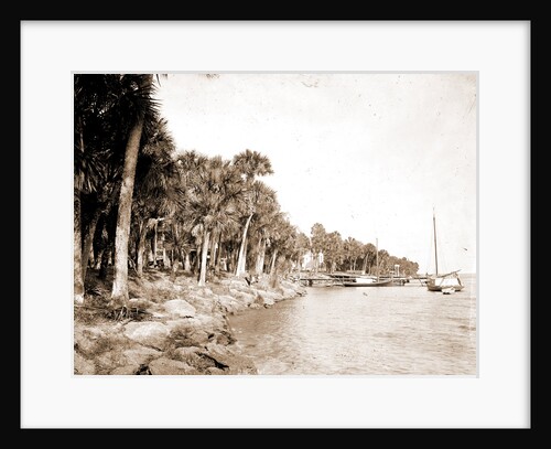 Rockledge, Indian River, Jackson, Hotel Rockledge (Fla.), Hotels, Waterfronts, Bays, United States, Florida, Indian River, 1880 by William Henry