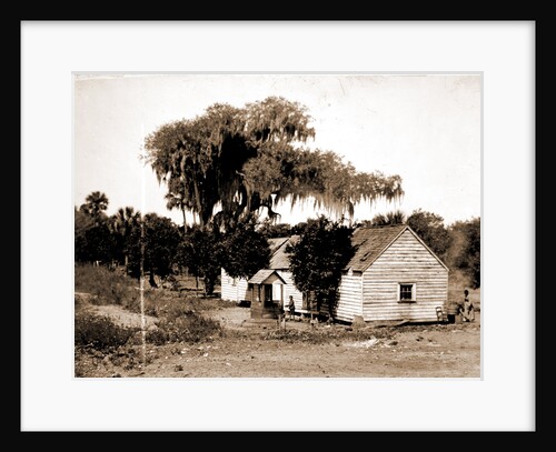 Negro cabin and oaks, Florida, Jackson, Dwellings, African Americans, Trees, Bays, United States, Florida, Indian River, 1880 by William Henry