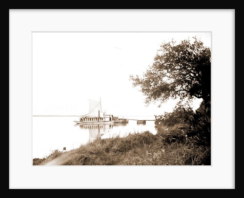 Brandtleys Landing, Indian River, Jackson, Boats, Waterfronts, Bays, United States, Florida, Indian River, 1880 by William Henry