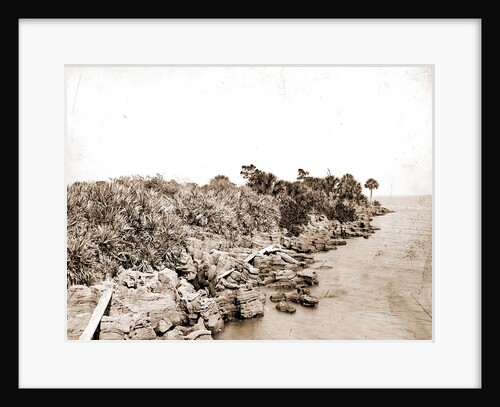 Coquina shore line, Indian River, Jackson, Waterfronts, Bays, United States, Florida, Indian River, United States, Florida, Eau Gallie, 1880 by William Henry