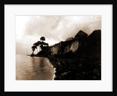 Shell mound Barker's Bluff, Indian River, Jackson, Waterfronts, Bays, United States, Florida, Indian River, United States, Florida, Barker's Bluff, 1880 by William Henry