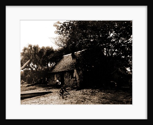 Dawson's, Gem Island, Indian River, Jackson, Bays, Thatched roofs, Dwellings, United States, Florida, Indian River, 1880 by William Henry