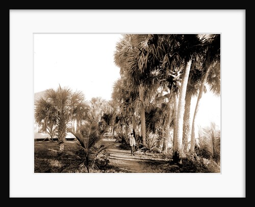 Hotel at Eden, Indian River, Jackson, Hotels, Bays, United States, Florida, Indian River, United States, Florida, Eden, 1880 by William Henry