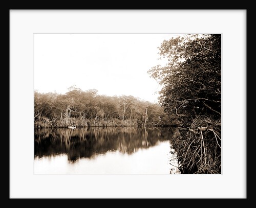 Jupiter Narrows, Jackson, Bays, United States, Florida, Jupiter Narrows, 1880 by William Henry