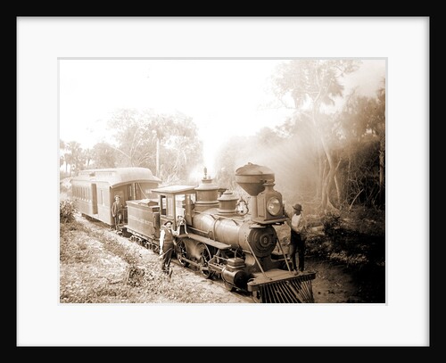 Jupiter & Lake Worth R.R, Jackson, Jupiter & Lake Worth Railroad, Railroad companies, Railroad locomotives, United States, Florida, Jupiter, 1880 by William Henry