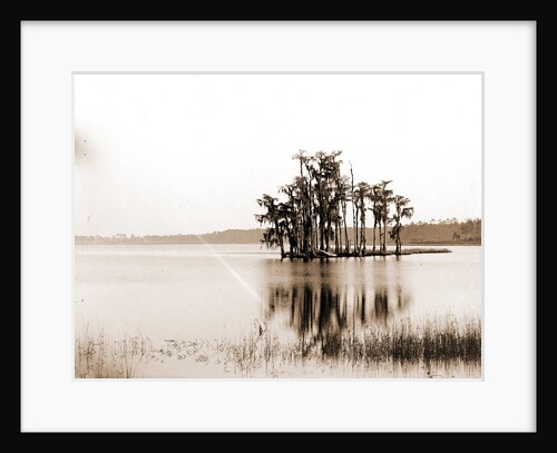 Lake Louise near Seville, Fla, Jackson, Islands, Lakes & ponds, United States, Florida, Louise, Lake, United States, Florida, Seville, 1880 by William Henry