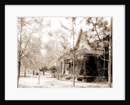 Florida home, Seville, Fla, A, Jackson, Dwellings, United States, Florida, Seville, 1880 by William Henry