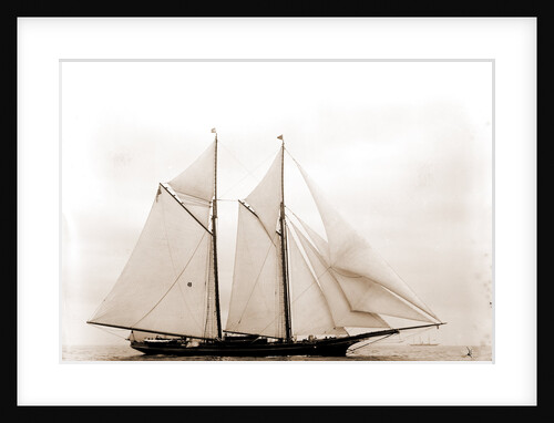 Columbia (Schooner), 1890 by Anonymous