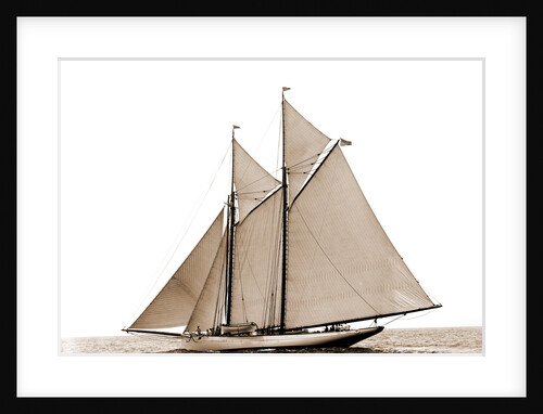 Grayling (Schooner), 1890 by Anonymous