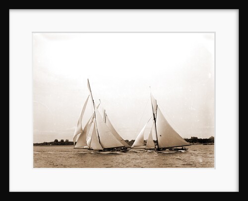 Start, forty footers, August 18, 1890, Regattas, 1890 by Anonymous